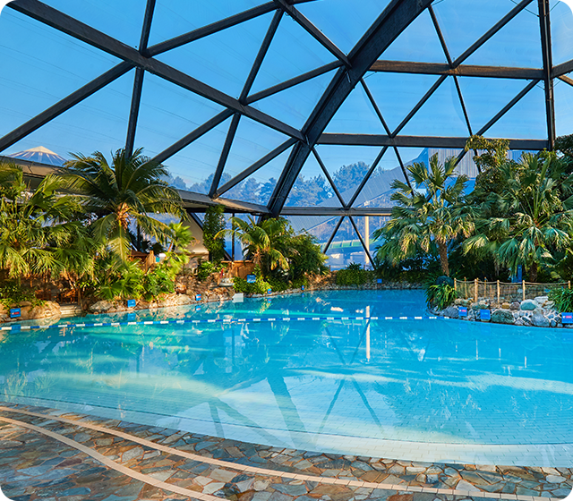 Splash in the Subtropical Swimming Paradise