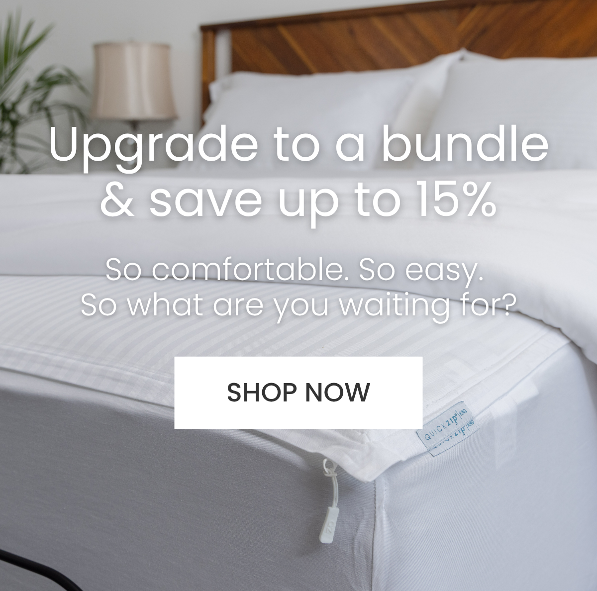 Upgrade to a bundle and save up to 15%! 