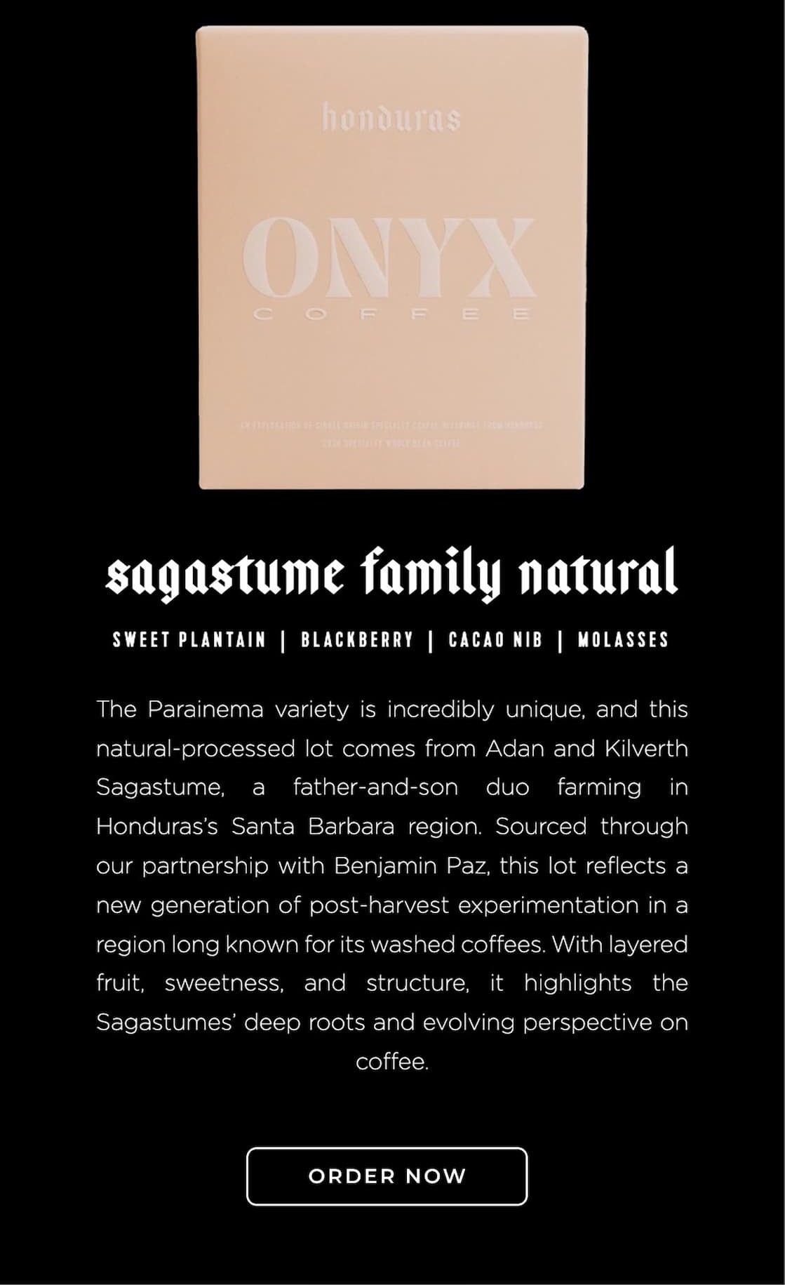Honduras Sagastume Family Natural