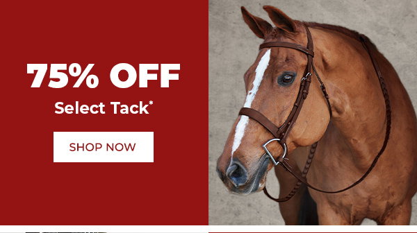 Save 75% Off Select Tack