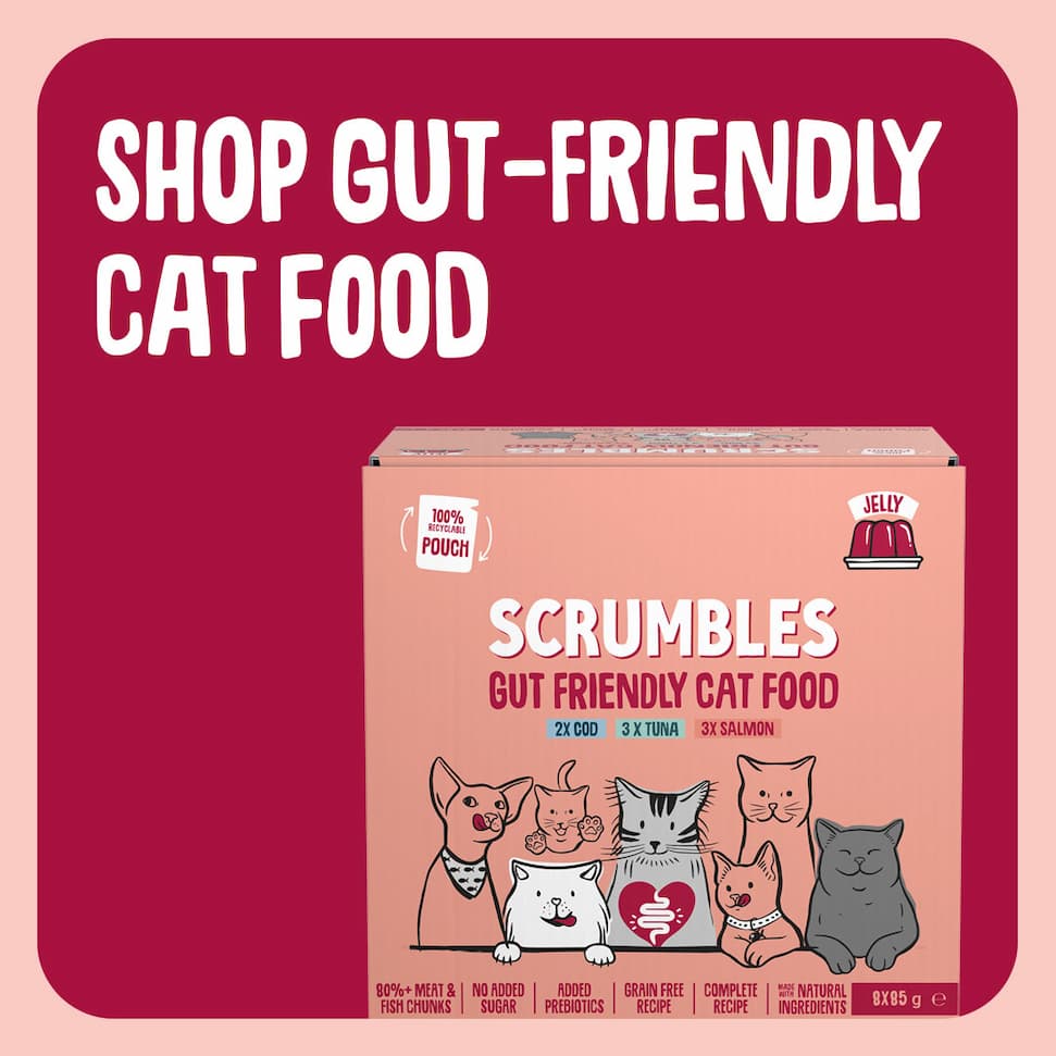 cat food