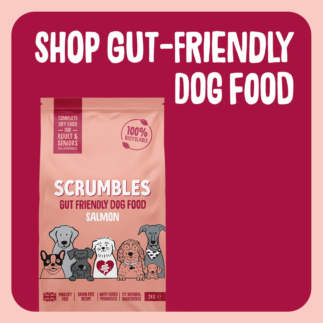 dog food