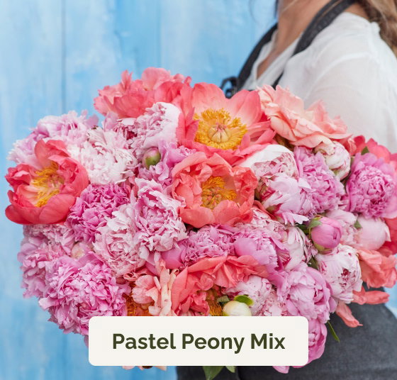 Pastel Peony Mix