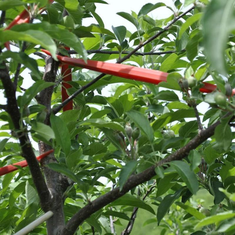 Image of Limb Spreaders