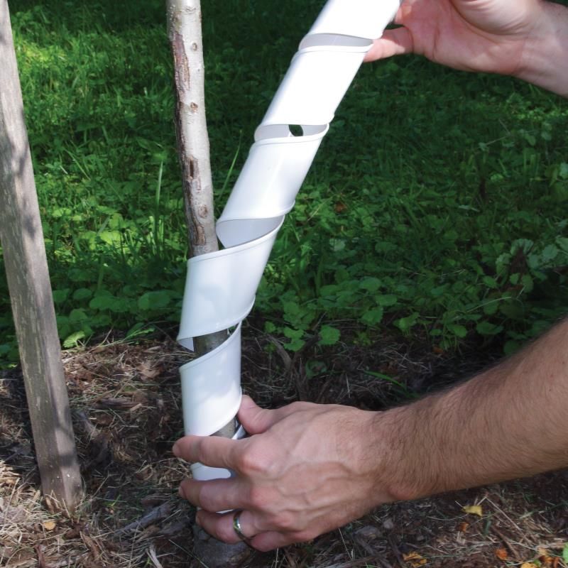 Image of Stark® Tree Guards