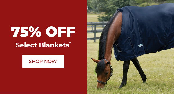 Save 75% Off Select Horse Blankets