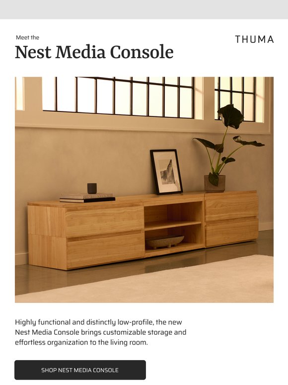 New living room storage.