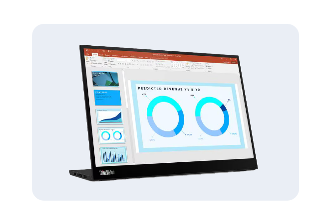 Portable Monitors