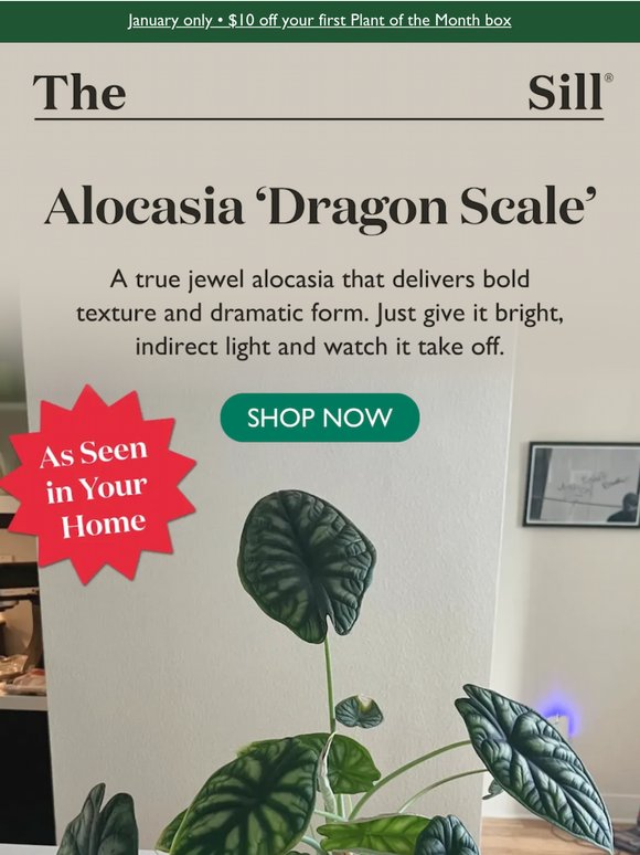 Only 10 Left of this Jewel 💎