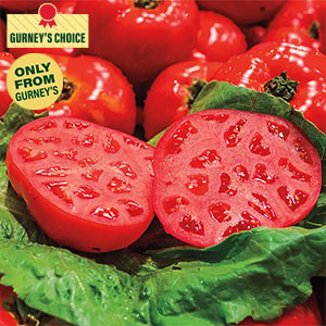 Gurney's® Ruby Monster Hybrid Tomato