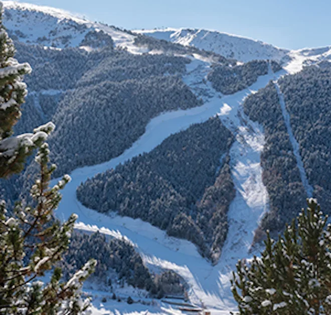 Fresh tracks