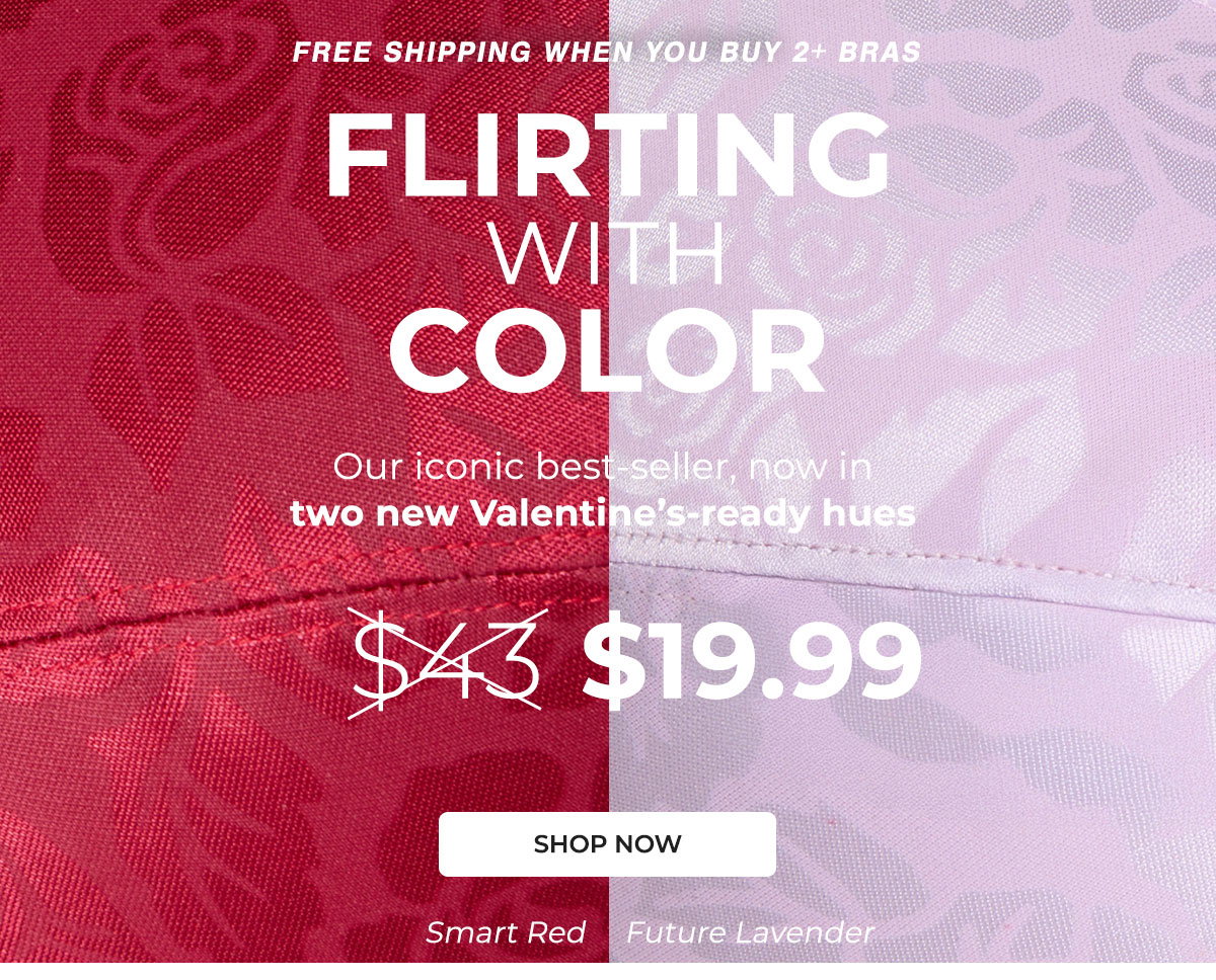 Playtex 18 Hour Ultimate Shoulder Comfort Wireless Bra