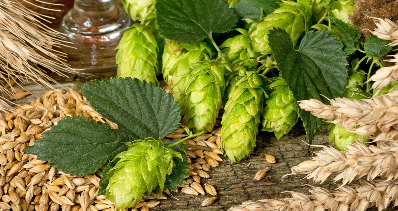 Homebrewing Ingredients