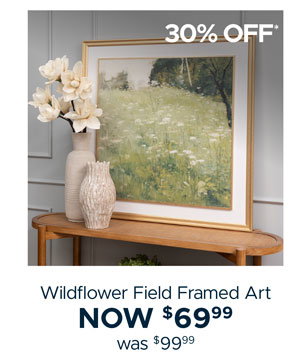 Wildflower Field Framed Art