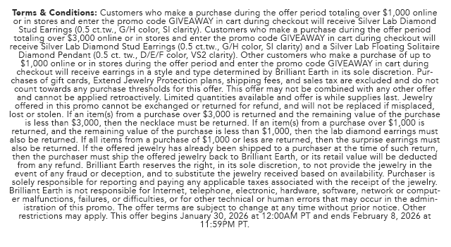 Promo Terms