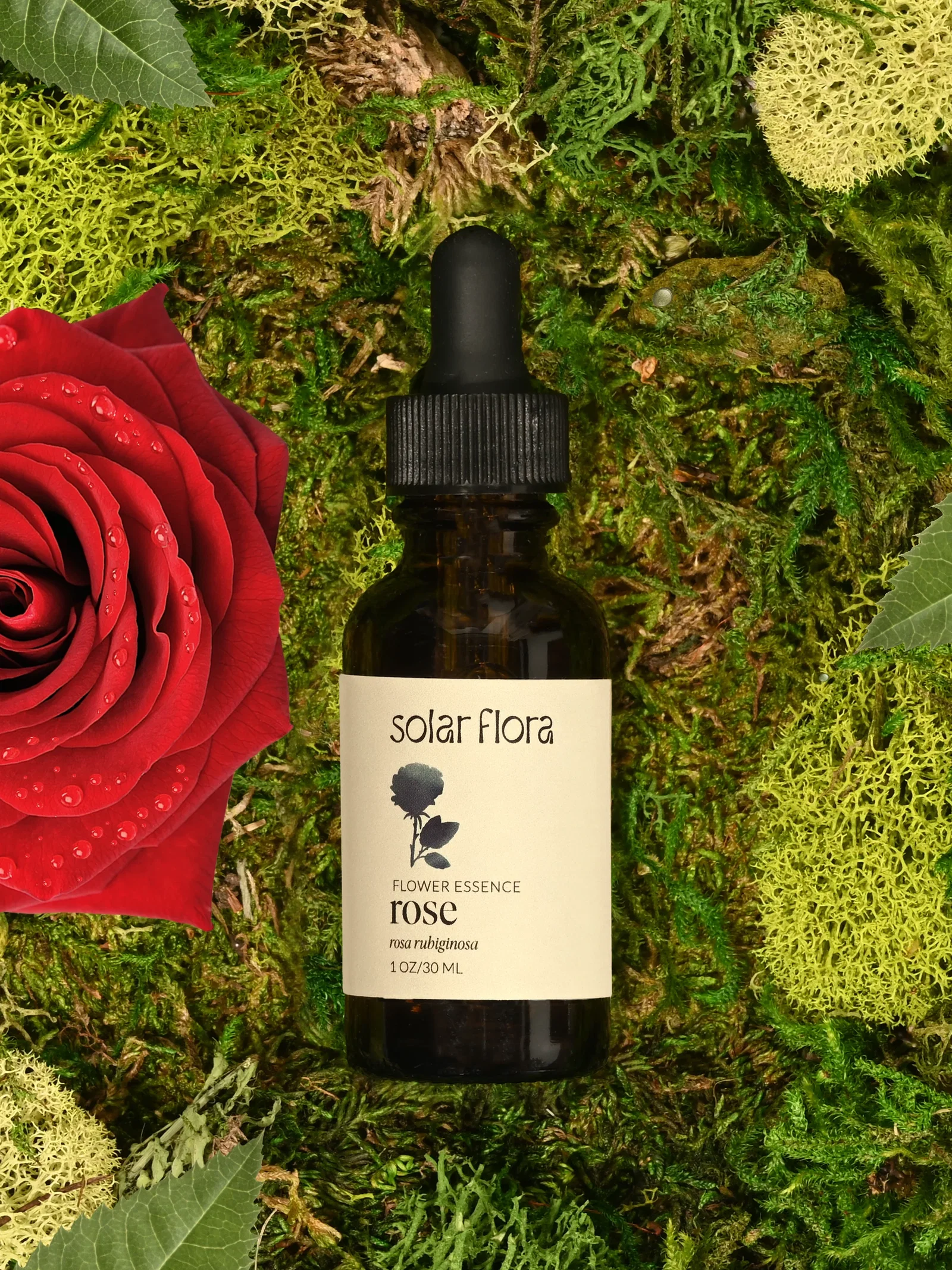 Image of Flower Essence: Rose