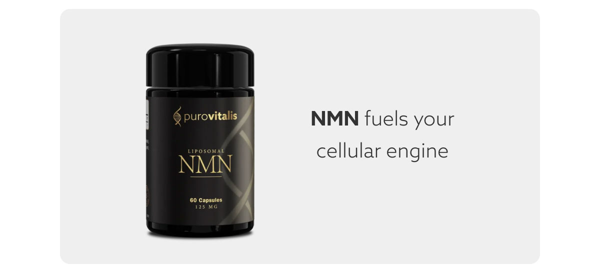 NMN fuels your cellular engine