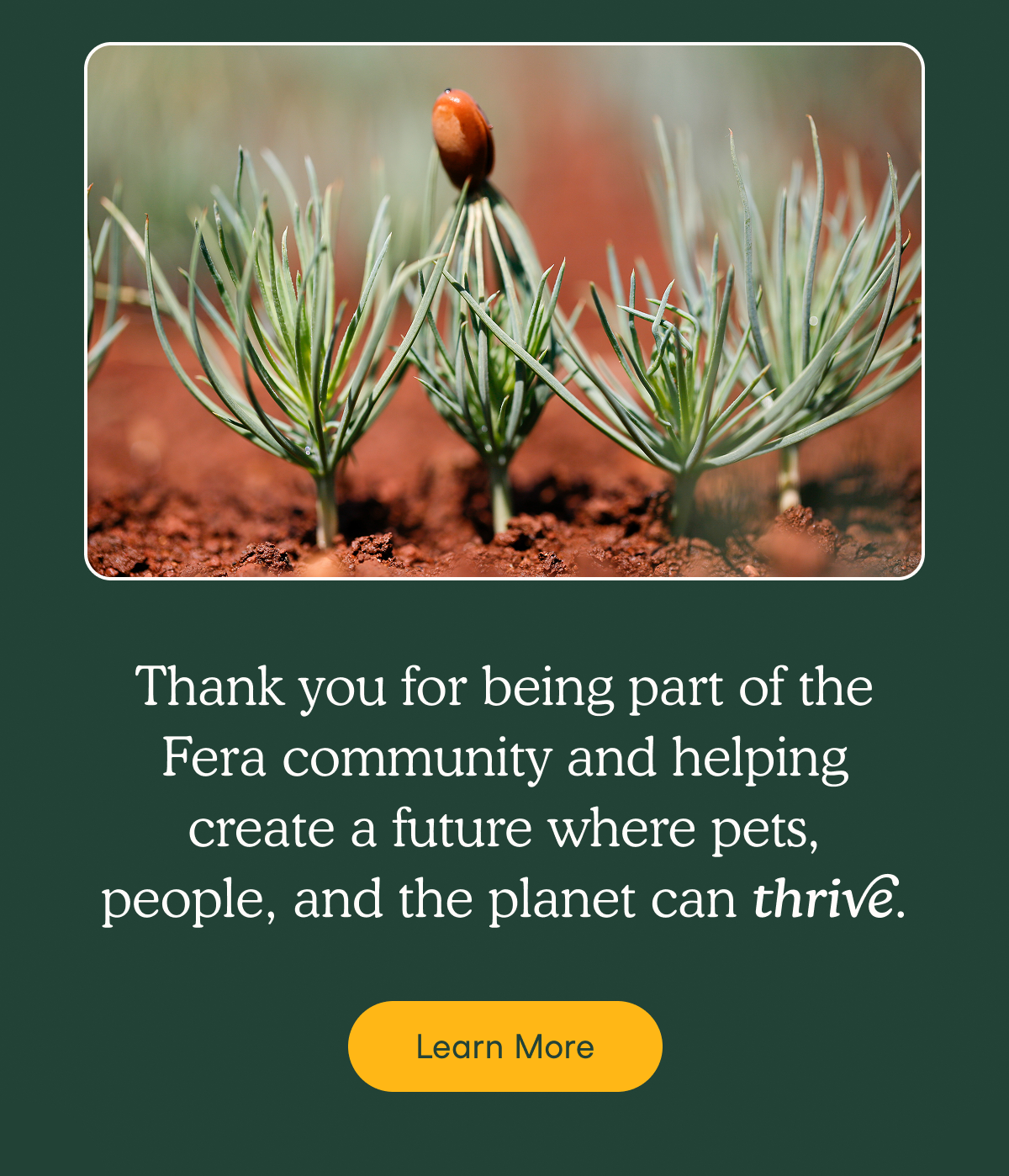 Learn more