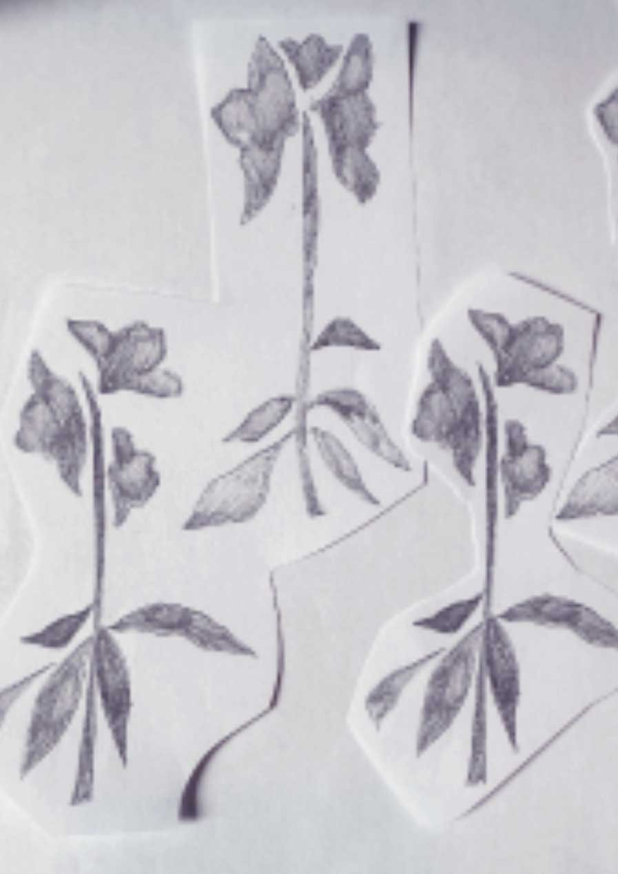 sketch of atrium & birdcage pattern