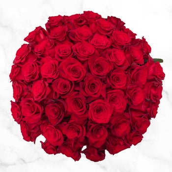 Valentine's Day Roses