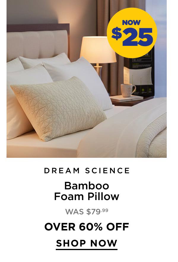 Dream Science Bamboo Foam Pillow