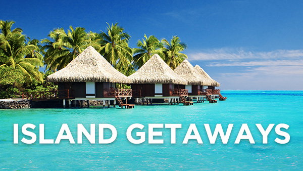 PARADISE IS CALLING