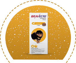 bravecto