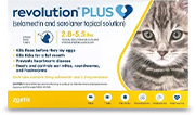 Revolution Plus