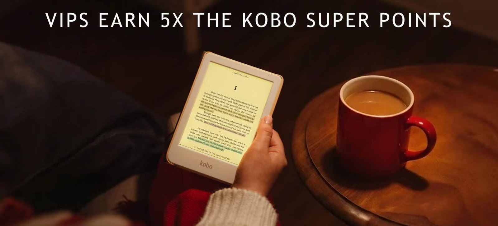 VIPS EARN 5X THE KOBO SUPER POINTS