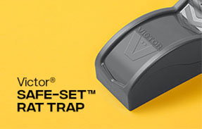 Victor® Safe-Set™ Rat Trap | Shop Now »