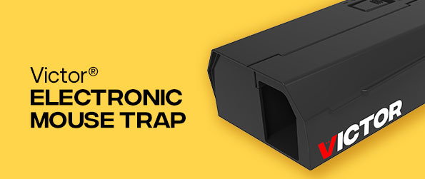 Victor® Electronic Mouse Trap | Shop Now »