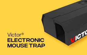 Victor® Electronic Mouse Trap | Shop Now »