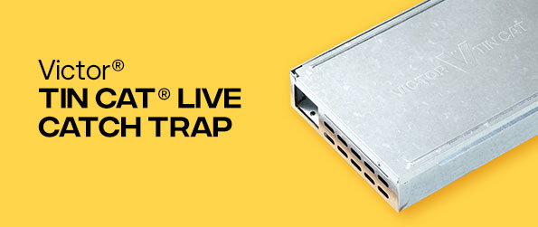 Victor® TIN CAT® Live Catch Trap | Shop Now »