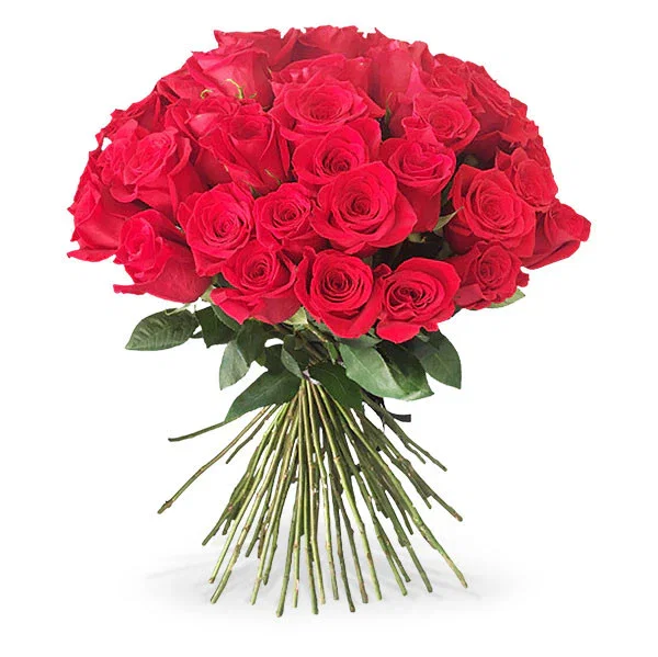 Image of 51 Long Stem Red Roses