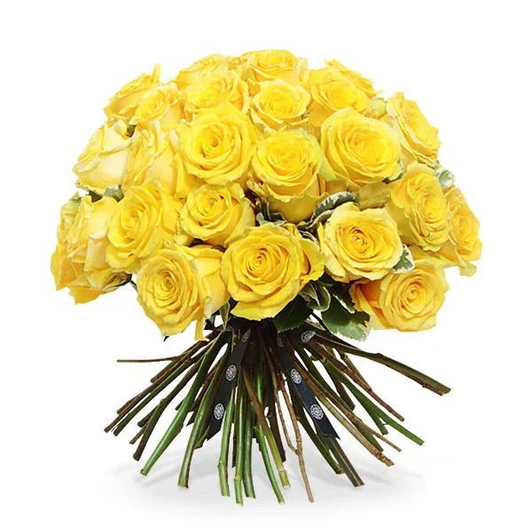 Image of 50 Long Stem Yellow Roses