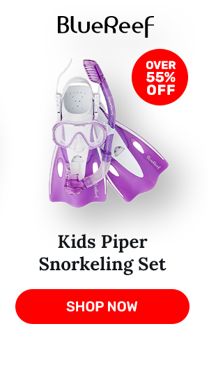 Blue Reef Kids Piper Snorkeling Set