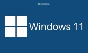 Microsoft Windows 11 Professional or Home – Lifetime Activation