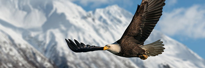 Wrangell, Alaska