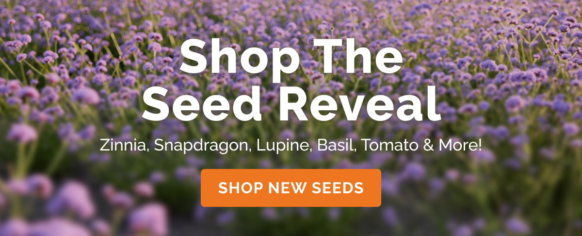 Shop The Seed Reveal