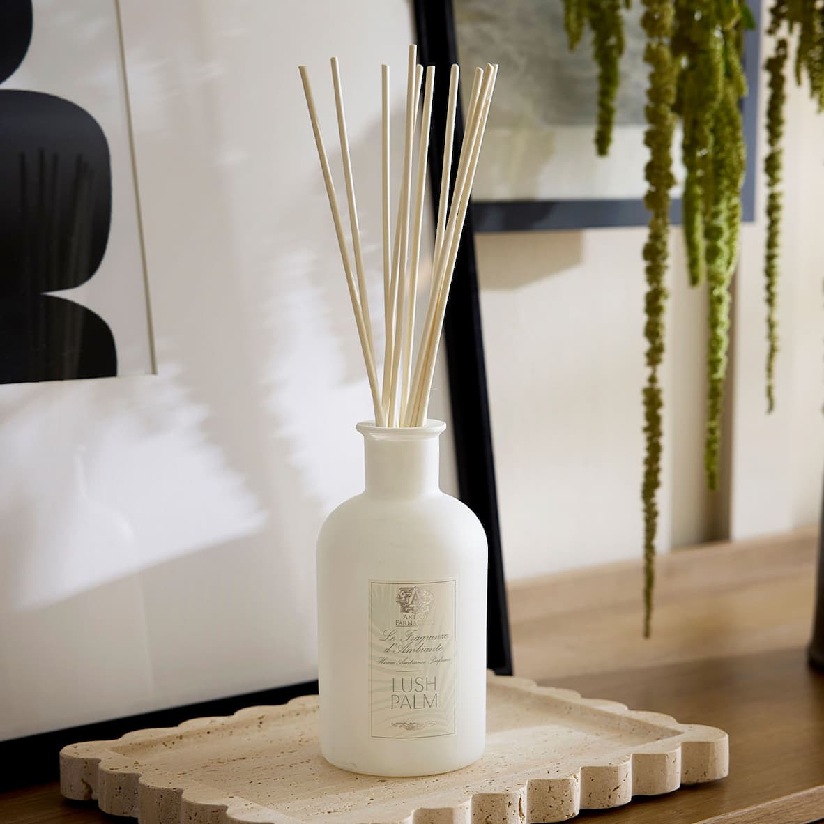 Shop Diffusers