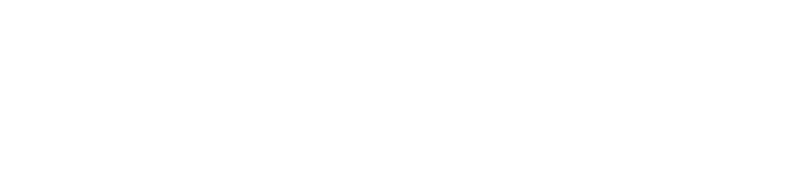 shop Pay logo