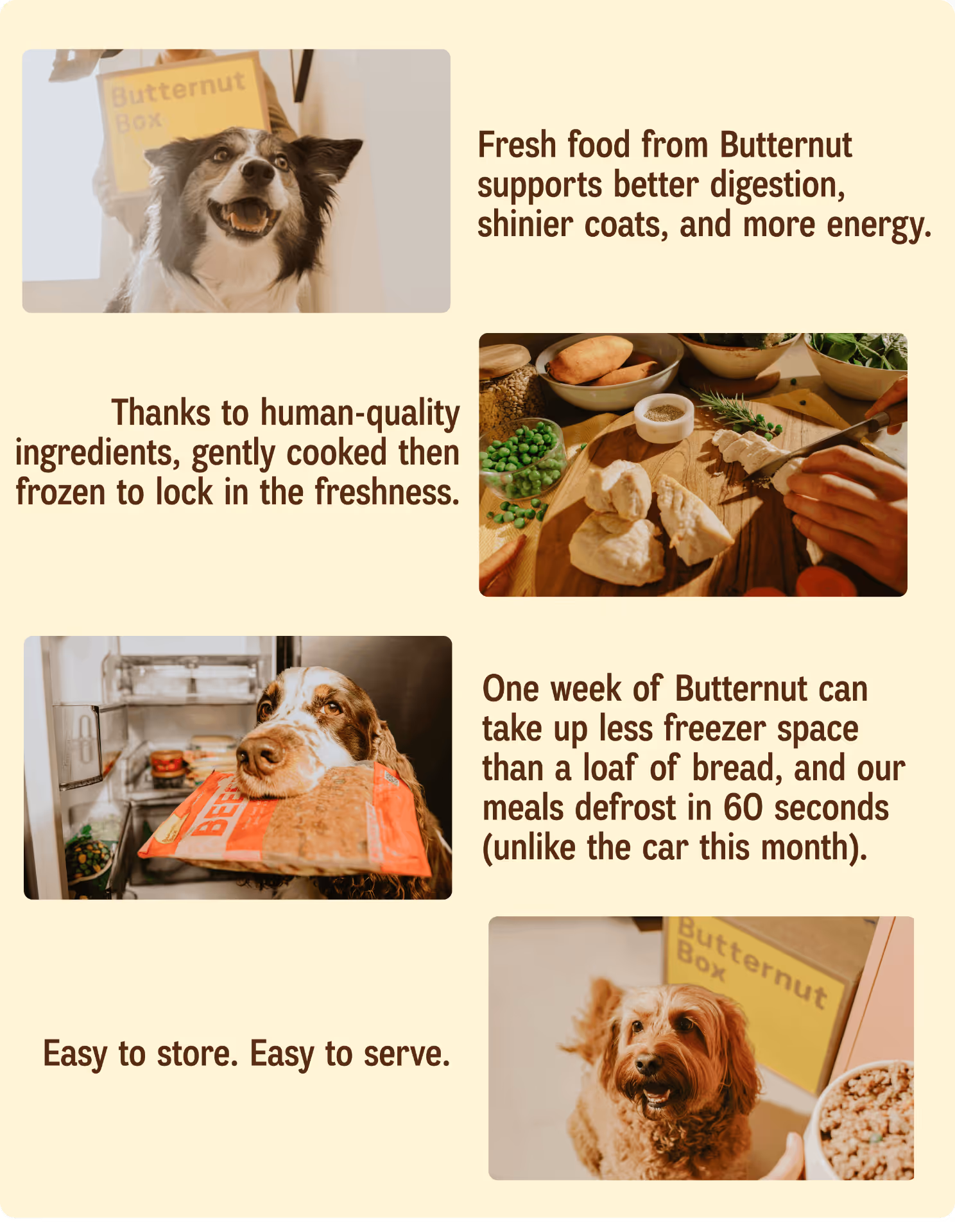Fresh food from Butternut supports better digestion, shinier coats, and more energy. | Thanks to human-quality ingredients, gently cooked then frozen to lock in the freshness. | One week of Butternut can take up less freezer space than a loaf of bread, and our meals defrost in 60 seconds (unlike the car this month). | Easy to store. Easy to serve.