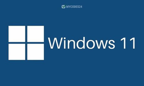 Microsoft Windows 11 Professional or Home – Lifetime Activation