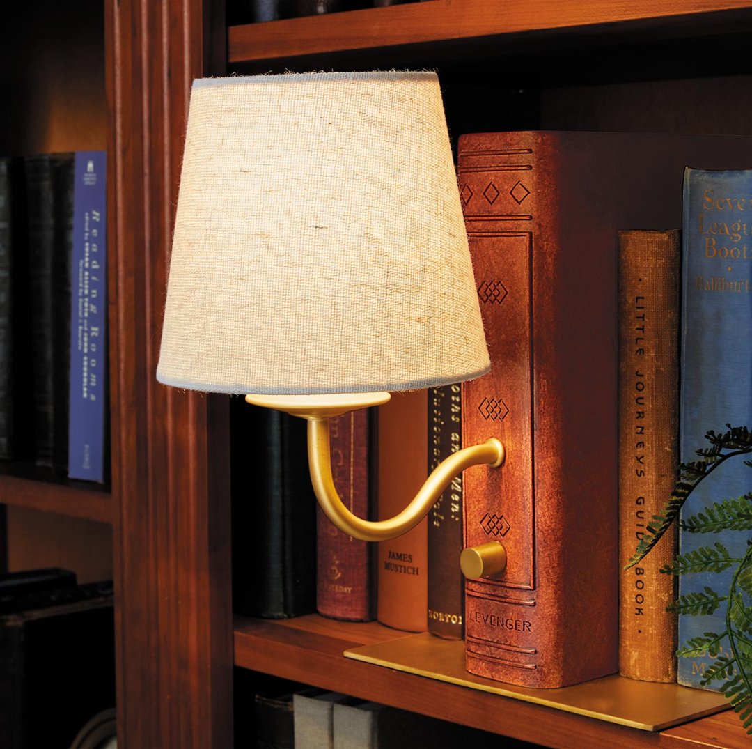 The Shelfie Book Light