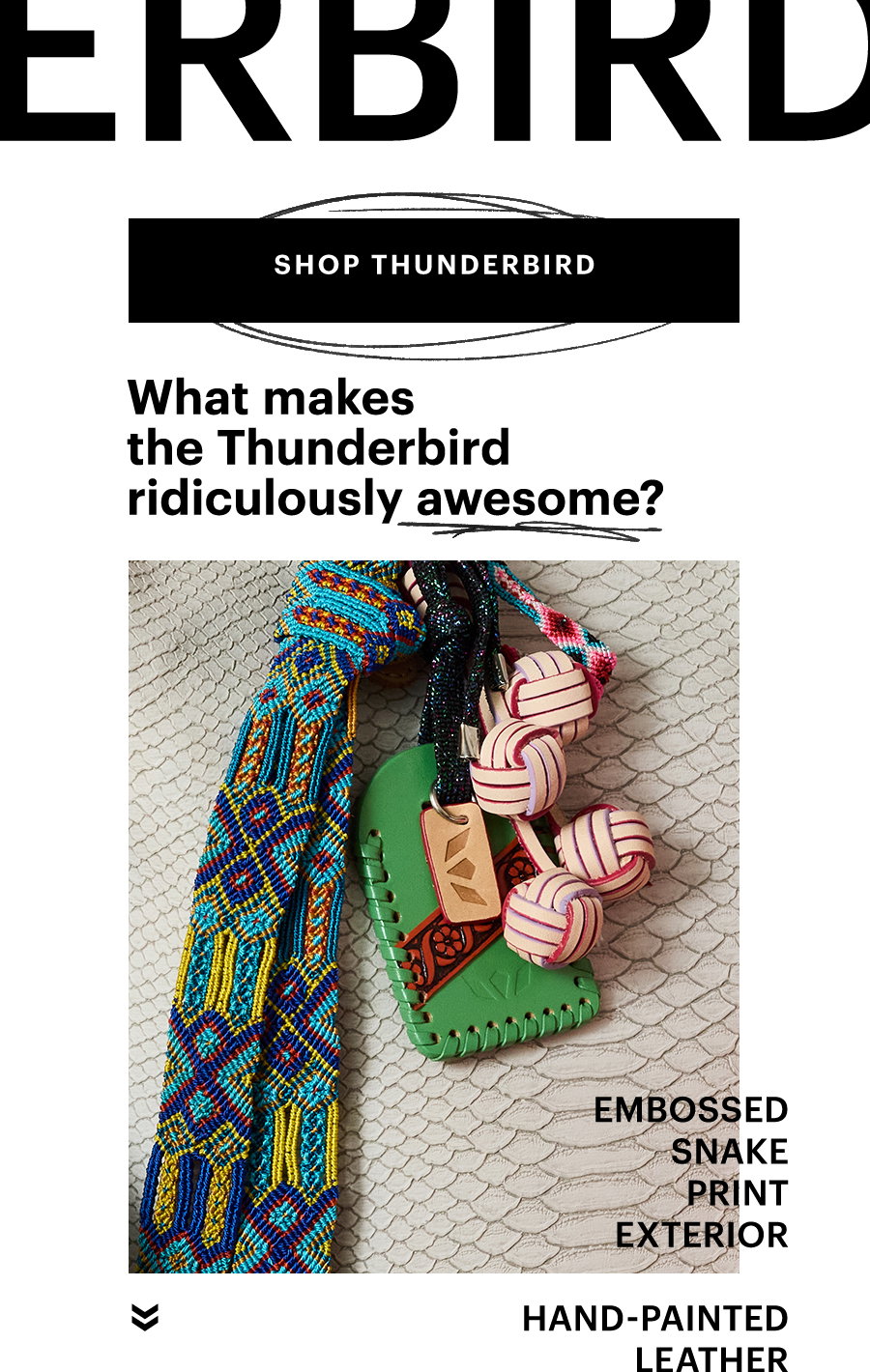 Shop Thunderbird Collection