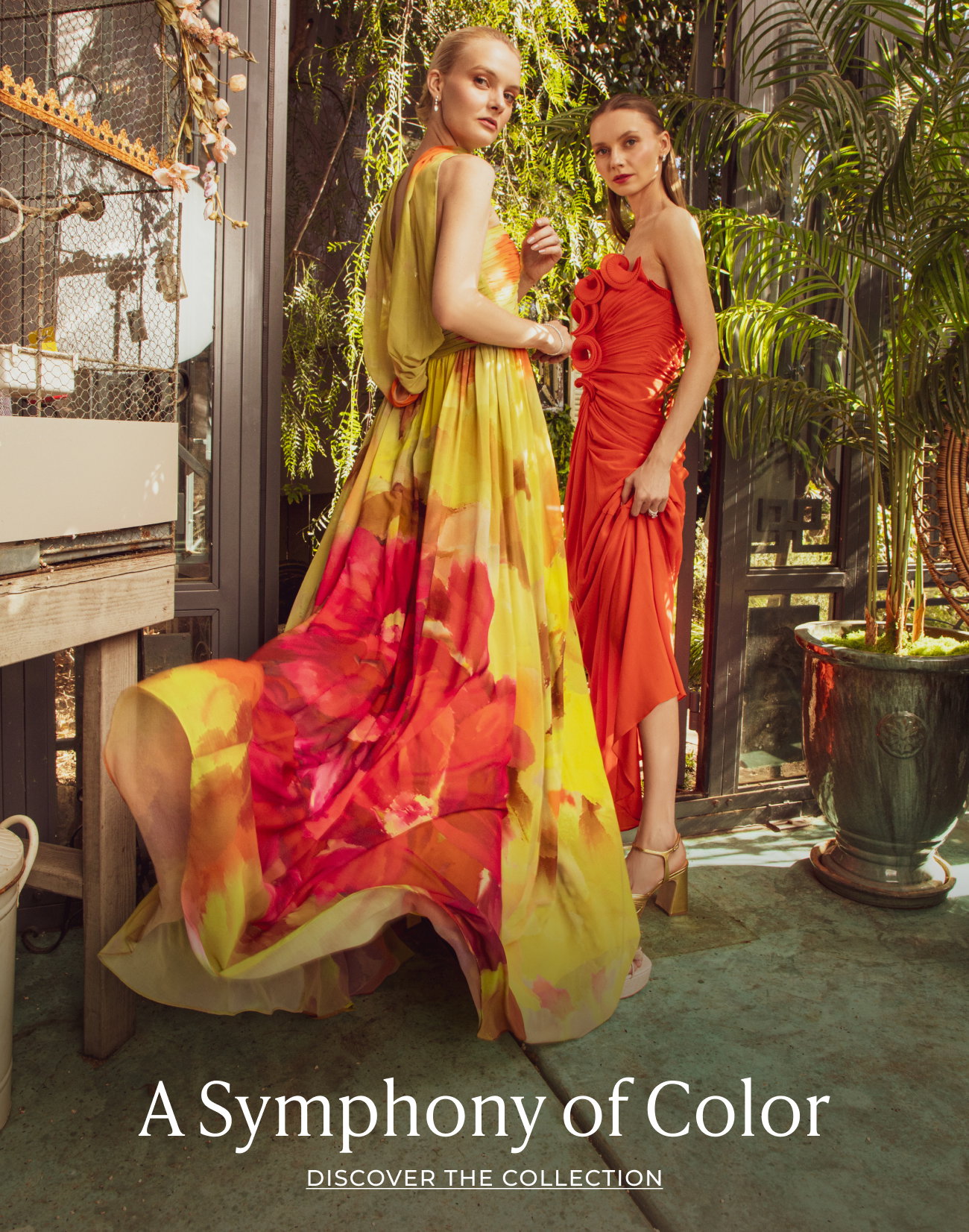 A Symphony of Color