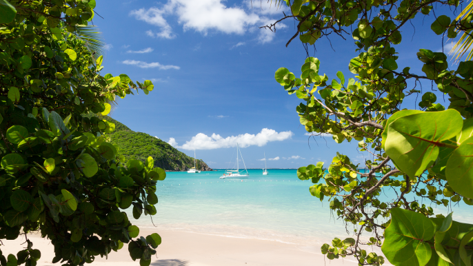 Virgin Voyages