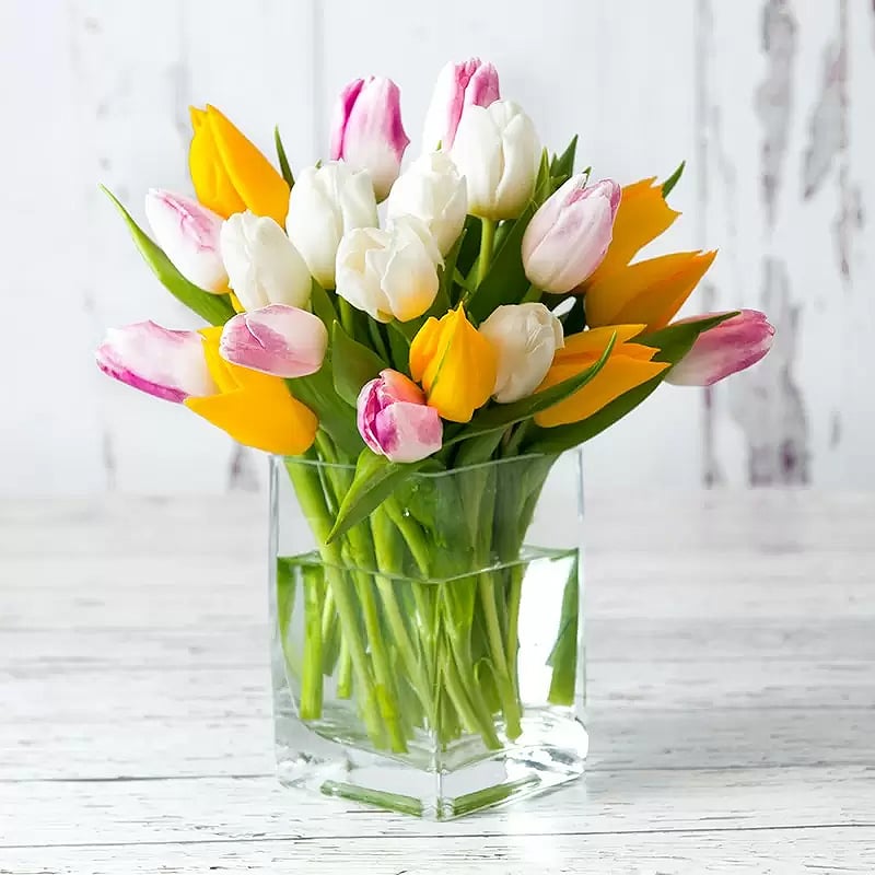 Image of Springtime Tulips