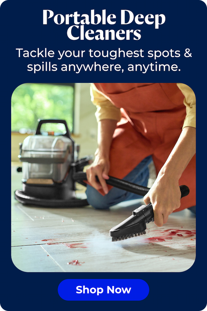 Portable Deep Cleaner