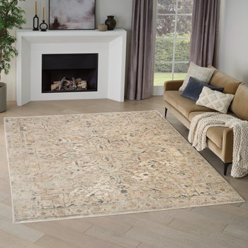 Nourison Antiqua Area Rug Collection